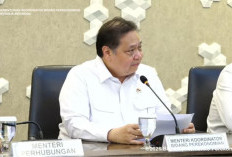 Harga Avtur Naik, Pemerintah Jaga Tarif Tiket Pesawat Tetap Terjangkau