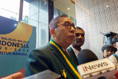 IDI Prihatin Mutasi dan Pemberhentian Mendadak Dokter IDAI, Desak Kemenkes Tinjau Kembali