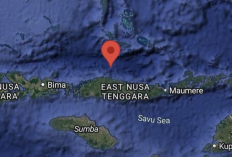 BMKG Ungkap Penyebab Gempa M7,7 Nagekeo, Dipicu 'Flores Back Arc Thrust'