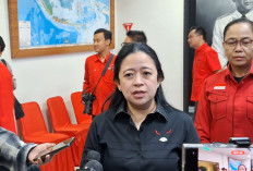 Muncul Nama Ganjar Pranowo dan Ahok Sebagai Ketua DPP PDIP, Ini Penjelasan Puan Maharani