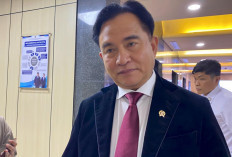 Yusril Tegaskan Tak Ada Pelarangan Nobar Film ‘Pesta Babi’: Silakan Nonton