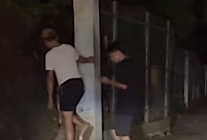 Hutan Kota Cawang Diduga Jadi 'Basecamp' LGBT, Pemprov DKI Pasang Lampu Tembak-Tambah CCTV