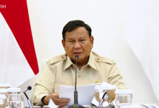 Prabowo Tak Menyangka Karhutla Tersisa 639 Hektare, Sempat Dikira Masih Melanda Ratusan Ribu Hektar