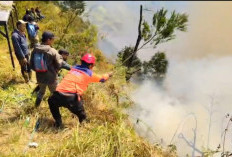 Karhutla Jatim Meluas, WALHI Soroti Gagalnya Tata Kelola Hutan Negara