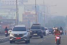 Kualitas Udara Pekanbaru Hari Ini, PM2.5 Capai 143,4 Mikrogram per Meter Kubik