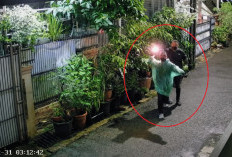 Amarah DJ Donny Memuncak Usai Bom Molotov Menyambar Rumahnya, Denny Siregar: Habis Ini Apa Lagi, Babi Panggang?