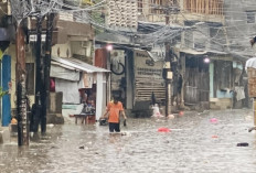 Hujan Lebat Semalaman, 16 RT dan 10 Ruas Jalan di Jakarta Terendam Banjir