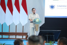Mendagri Dorong Sinergi Lintas Daerah di Sulawesi untuk Percepat Pemerataan Ekonomi