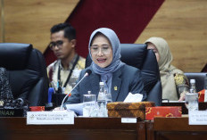 Komisi X DPR Dukung Kemenpora Usut Tuntas Kasus Dugaan Pelecehan Atlet Panjang Tebing