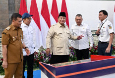Prabowo Percepat Proyek Kereta Api Trans Sumatera, Target Tembus Banda Aceh
