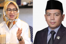 Adu Harta Kekayaan Calon Gubernur Banten Airin Rachmi Diany vs Andra Soni