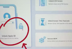Cara Menghapus Apple ID Tanpa Password di iPhone 