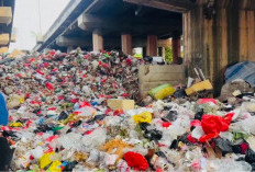 Sampah Menggunung, DLH DKI Tutup Permanen TPS Kencana di Kolong Tol Tanjung Priok