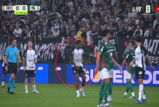 Viral! Gelandang Corinthians Dikartu Merah Usai 'Garuk Area Sensitif' di Depan Pemain Palmeiras