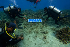 Upaya PNM Hadirkan Masa Depan Anak-Anak Lewat Pelestarian Laut