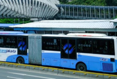 Hore! Jadwal Transjakarta Kini Bisa Dilihat Real Time Lewat Google Maps, Begini Caranya