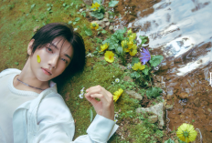 Lirik Lagu Not Personal - Joshua SEVENTEEN, Lengkap dengan Arti Bahasa Indonesia