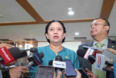 Puan Minta Fadli Zon Jelaskan Alasan Penetapan 17 Oktober Sebagai Hari Kebudayaan