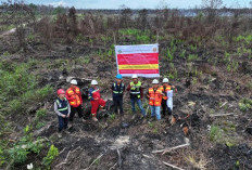 Karhutla Bongkar Borok! Kemenhut Temukan Dugaan Jual-Beli hingga Perambahan Hutan 