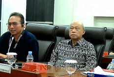 Konflik dengan Kemenkes Buntut Mutasi Mendadak, IDAI Adukan ke DPR   