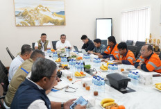BULOG Gandeng Wilmar Group Perkuat Pasokan Beras Premium untuk Ritel Modern
