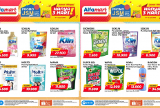 Katalog Promo JSM Alfamart Terbaru Hari Ini 12 Juli 2026, Diskon Molto Pewangi hanya Rp10 Ribuan!