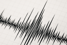 Gempa M 6,4 Guncang Jepang Malam Ini, BMKG Ungkap Tidak Berpotensi Tsunami di Indonesia 