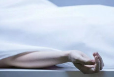 Pensiunan Guru Ditemukan Tewas Bersimbah Darah di Halaman Rumah, Diduga Korban Pembunuhan