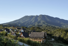 EIGER Nature Perkuat Pemulihan Lingkungan di Puncak, 120 Ribu Pohon Ditanam