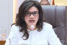 DPR RI Tekankan Reformasi JKN, Layanan Kesehatan Primer Harus Diperkuat