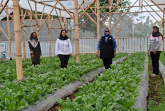 Dari Limbah Jadi Berkah, Perempuan Nasabah PNM Mekaar Kembangkan Usaha Lewat Sinergi Ultra Mikro BRI