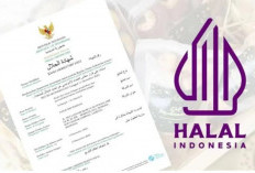 Kesepakatan RI-AS Soal Sertifikasi Halal, LPPOM Minta Pemerintah Tak Tunduk atau Takut Asing