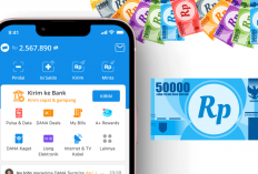 SELAMAT! Saldo DANA Gratis Rp504.000 Cair dari Link DANA Kaget Pagi Ini, Sekali Klik Langsung Cuan