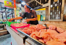 Dolar Melambung, Pedagang Pasar Senen Rasakan Daya Beli Masyarakat Turun