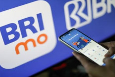 BRImo Permudah Transaksi Hingga Pelosok Desa