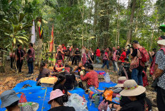 5 Sub-Suku Dayak di Sanggau Didata, Perjuangkan Pengakuan Masyarakat Adat