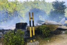 OTK Serang Pos Keamanan Perusahaan di Nabire, 2 Orang Tewas