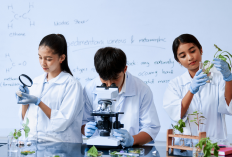 20 Contoh Soal OMI 2026 Biologi MA dan Jawabannya, Latihan Belajar sebeum Seleksi!