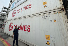 Gagalkan Impor Ilegal 100 Ton Ikan Salem di Pelabuhan Tanjung Priok, KKP Selamatkan Kerugian Negara Rp4.48 Miliar