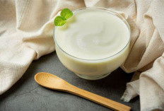 Buktikan Manfaat Yoghurt untuk Tingkatkan Kesehatan Reproduksi Wanita