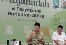 Meski Sudah Usung Anies, PKB Akui Dapat Tawaran Koalisi KIM untuk Pilkada Jakarta