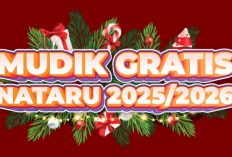 Link dan Cara Daftar Mudik Gratis Kemenhub Nataru 2025/2026 yang Dibuka Hari Ini, Ada Tujuan Wonogiri!