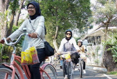 Tren Baru Cat Parents: Cara Asyik Hangout Tanpa Melupakan Anabul di Rumah