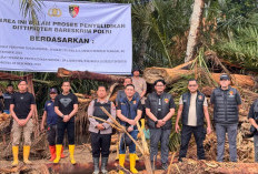 Kayu Gelondongan Banjiri DAS Garoga-Tamiang, Bareskrim Usut Pembalakan Liar