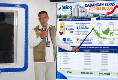 Stok Beras 4,5 Juta Ton, Cadangan Beras Indonesia Unggul Jauh dari Negara ASEAN Lainnya