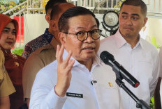 Pramono Bakal Tata Pasar Taman Puring yang Kebakaran Jadi Taman Difabel 