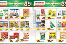 Katalog Promo Alfamart Pekan Ini 23-28 Februari 2026 Spesial Ramadhan, Tepung Terigu Mulai Rp13.000
