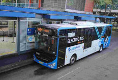 Pramono Targetkan 500 Bus Listrik Transjakarta Mengaspal Tahun Ini