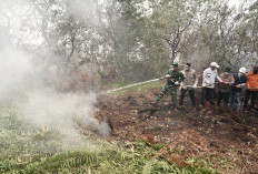 2.945 Hotspot Terdeteksi di Sumatera, Sumsel Tertinggi 1.429 Titik