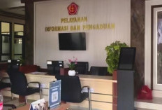 Pengadilan Militer Sepi, Zaskia Mecca Kecewa Sidang Prajurit TNI yang Aniaya Stafnya Mendadak Ditunda